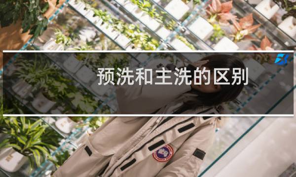预洗和主洗的区别 - 洗衣液放主洗还是预洗