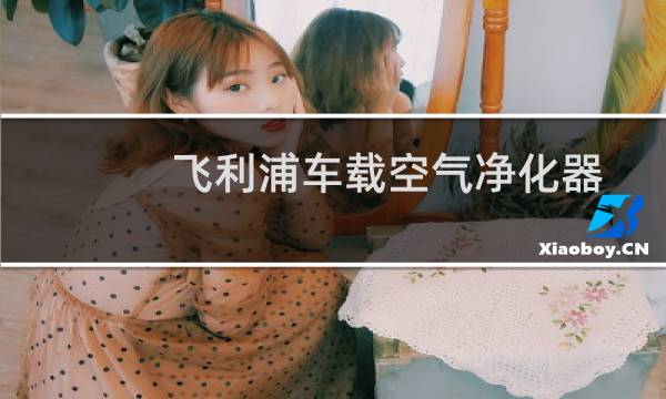飞利浦车载空气净化器 - 飞利浦车载空气净化器紫色