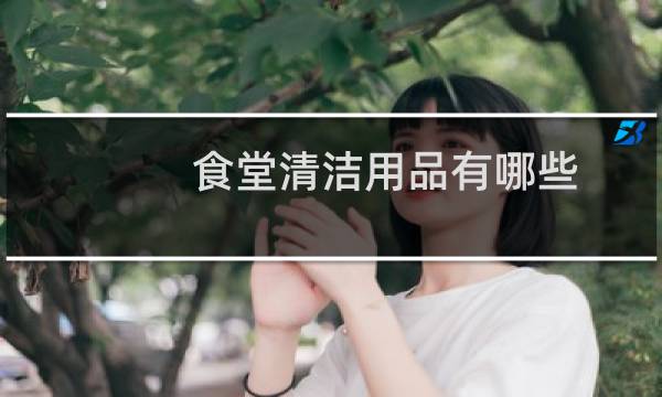 食堂清洁用品有哪些 - 食堂用的清洁劳保用品有哪些