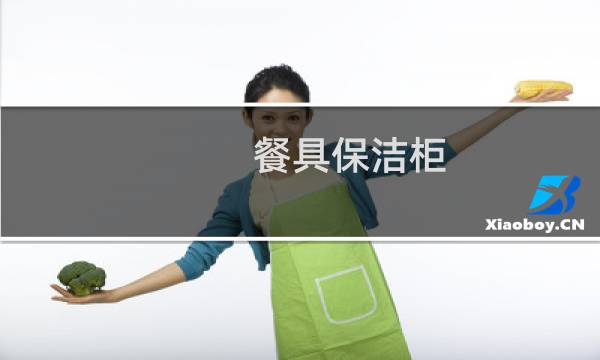 餐具保洁柜 - 台式餐具保洁柜