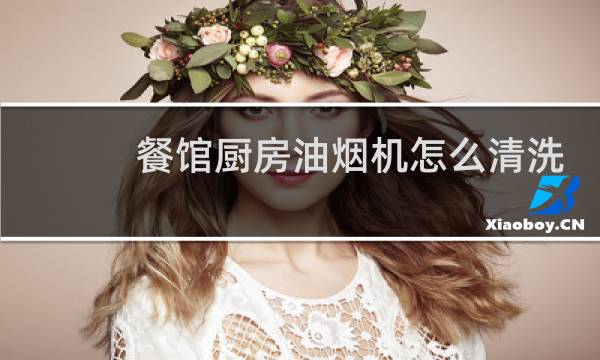 餐馆厨房油烟机怎么清洗 - 有什么办法清洗餐厅油烟机