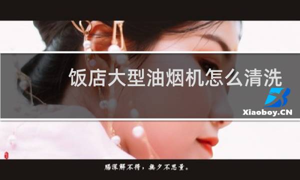 饭店大型油烟机怎么清洗 - 饭店用的抽油烟机怎么清理
