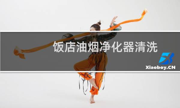 饭店油烟净化器清洗 - 饭店油烟净机清洗