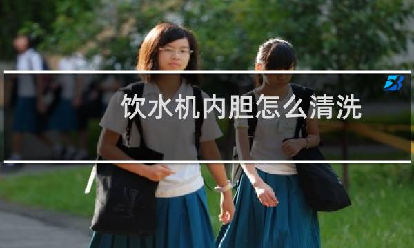 饮水机内胆怎么清洗 - 后悔用白醋洗饮水机了