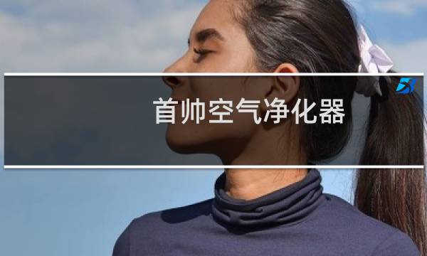 首帅空气净化器 - 首帅空气净化器定时