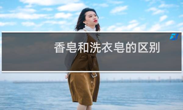香皂和洗衣皂的区别 - 肥皂指的是洗衣皂吗