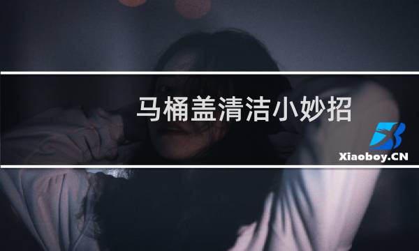 马桶盖清洁小妙招 - 马桶水箱清洁小妙招