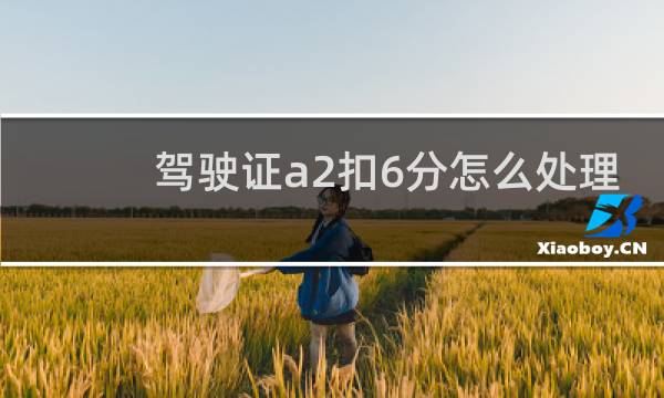驾驶证a2扣6分怎么处理 - a2驾驶证扣6分网上培训