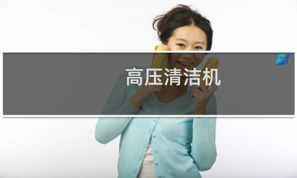 高压清洁机 - 高压清洗机是高压水枪吗