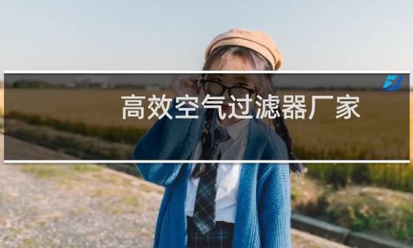 高效空气过滤器厂家 -