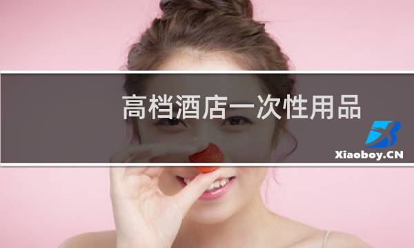 高档酒店一次性用品 -