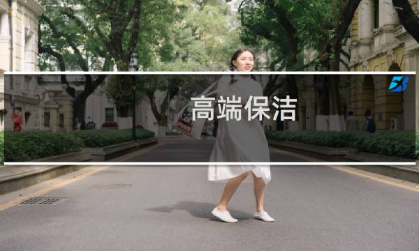 高端保洁 - 高端保姆6万一个月