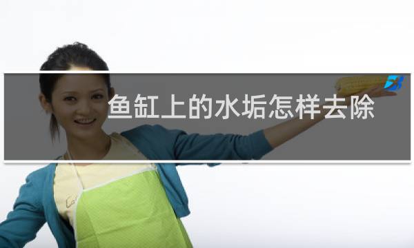 鱼缸上的水垢怎样去除 - 鱼缸里的白碱怎么清理干净