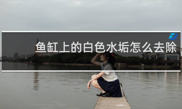 鱼缸上的白色水垢怎么去除 - 鱼缸白色水渍怎么去除
