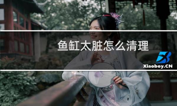 鱼缸太脏怎么清理 - 鱼缸的脏东西怎么清理