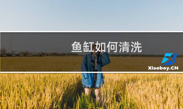 鱼缸如何清洗 - 用什么可以把鱼缸洗干净