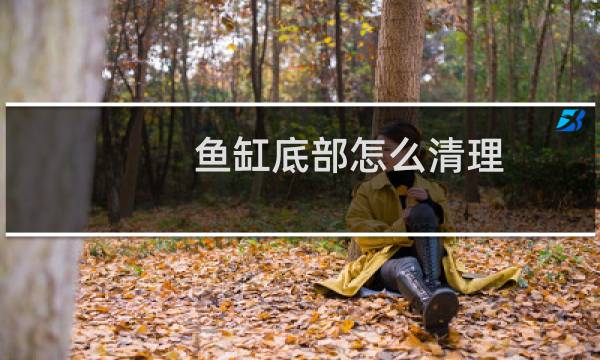 鱼缸底部怎么清理 - 鱼缸最下层的沉淀物如何清理
