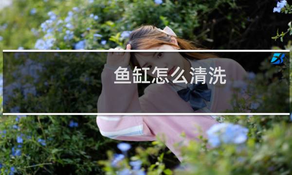 鱼缸怎么清洗 - 鱼缸玻璃胶缝长褐藻