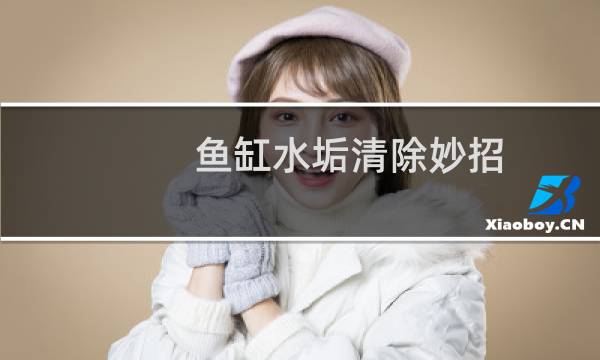 鱼缸水垢清除妙招 - 如何清洗鱼缸水垢