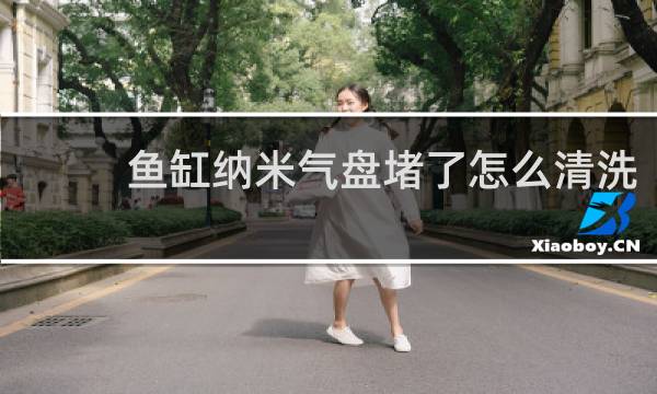 鱼缸纳米气盘堵了怎么清洗 - 如何用白醋清洗纳米气盘
