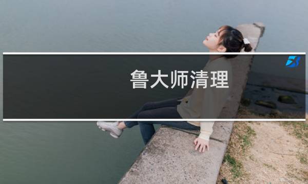 鲁大师清理 - 鲁大师清理下载