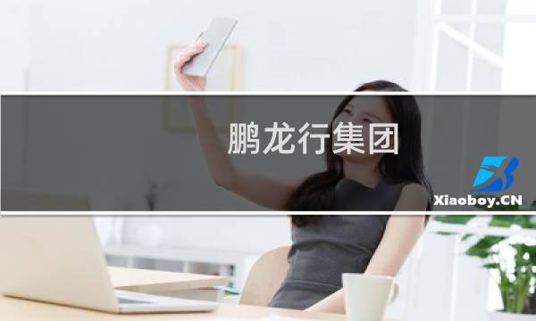 鹏龙行集团 - 鹏龙行集团是国企吗
