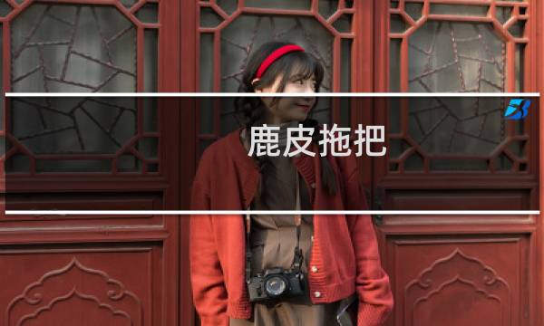 鹿皮拖把 - 鹿皮拖把好用吗