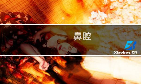 鼻腔 - 人的鼻腔和口腔连通图