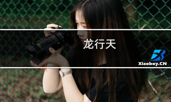 龙行天 - 龙行天下