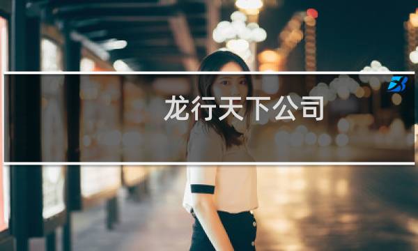 龙行天下公司 - 龙行天下公司湖南